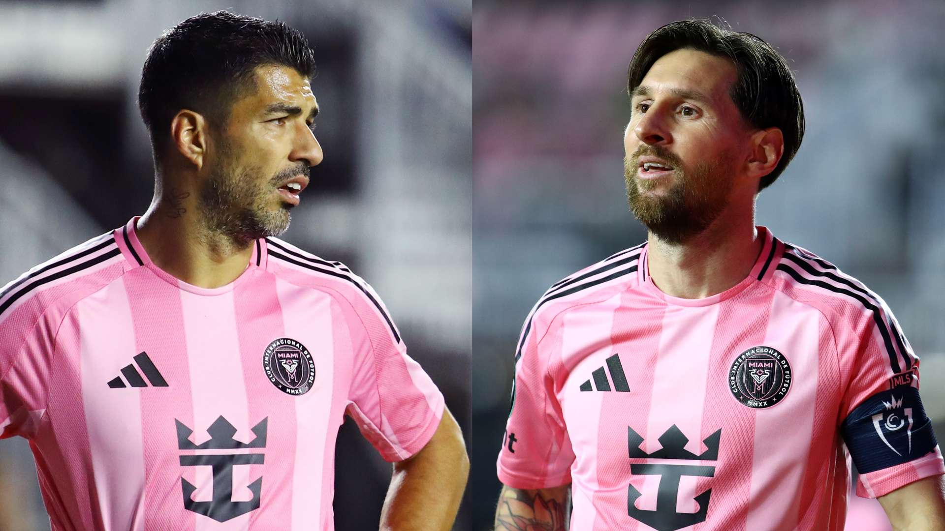 仅塑造了D 仅塑造了D