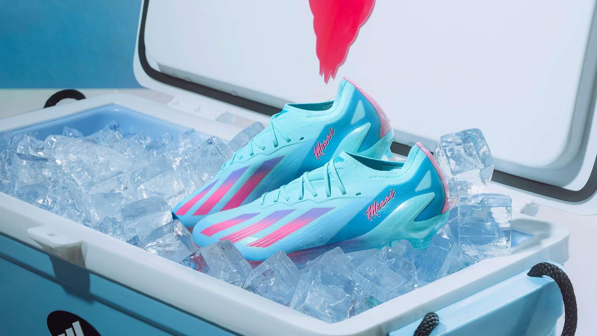 类主动的促 类主动的促