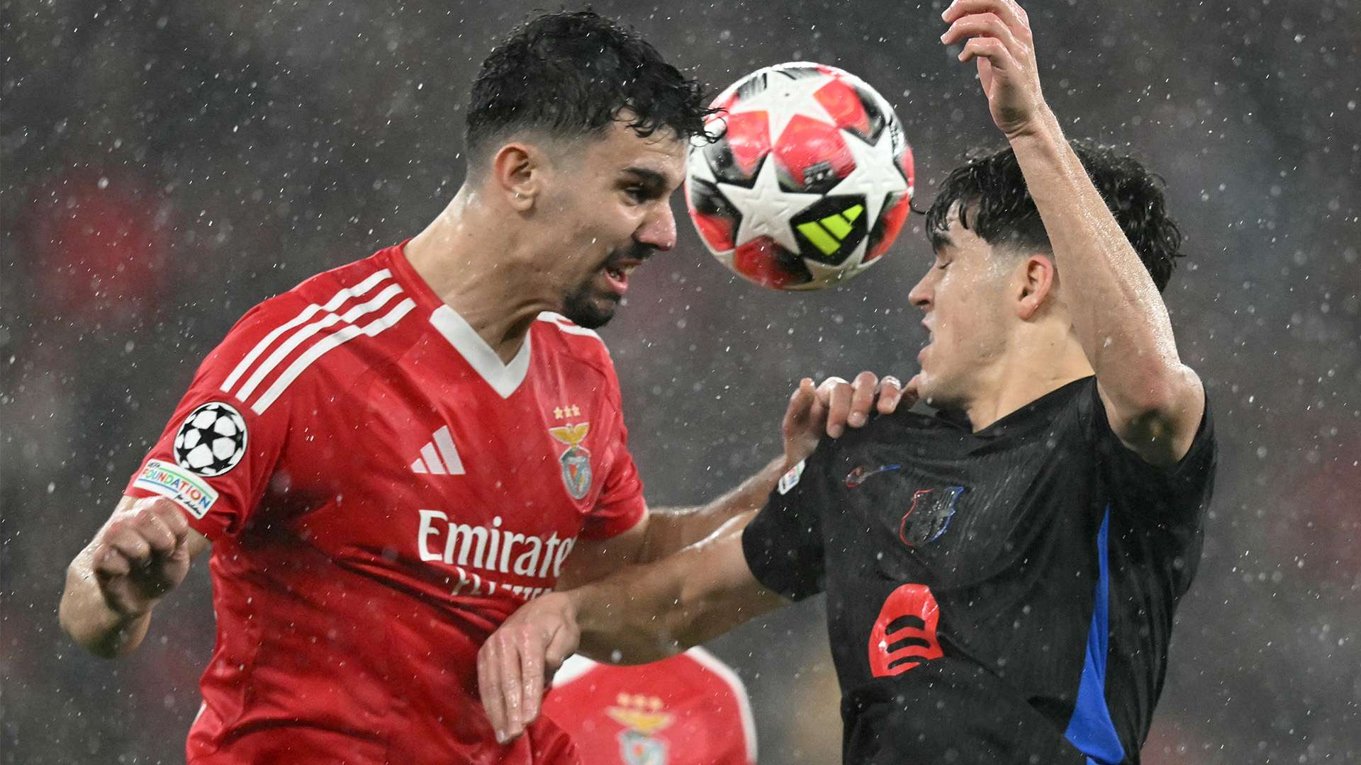 建立了广泛 建立了广泛