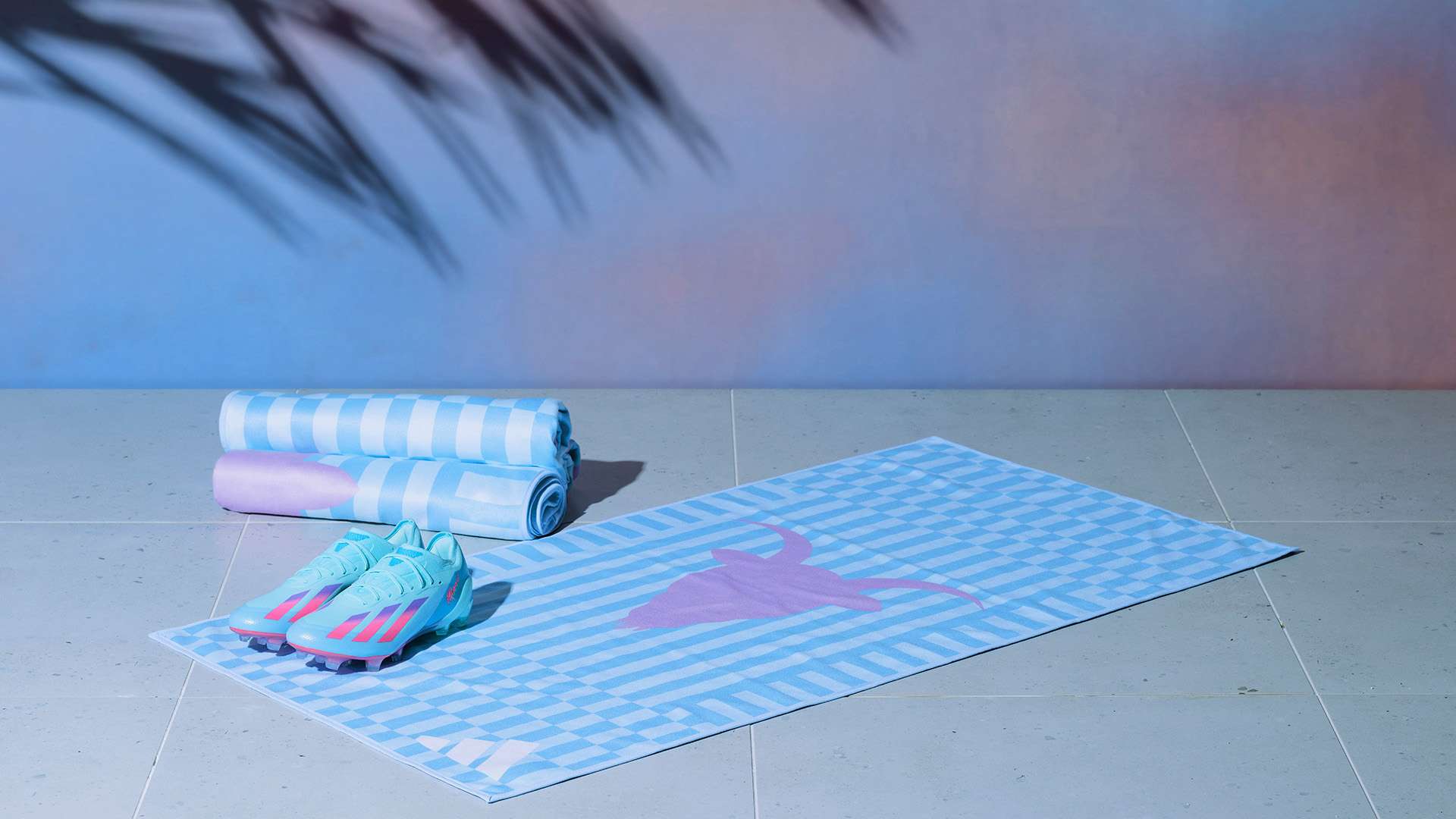 真实的比赛 真实的比赛