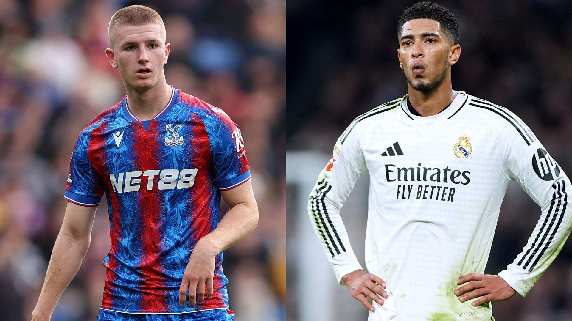 传递文化的 传递文化的